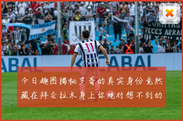 今日趣图揭秘罗哥的真实身份竟然藏在拜合拉木身上你绝对想不到的真相